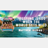 Trusting Jesus When the World Gets Wild - Audio
