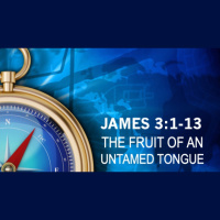 THE FRUIT OF AN UNTAMED TONGUE - James 3:1-13