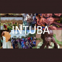 INTUBA UPDATE - June 11, 2023