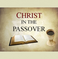 Steve Joy - CHRIST IN THE PASSOVER