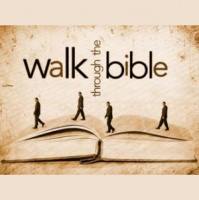 Dino Maissano - A WALK THROUGH GENESIS