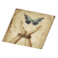 Dr. Shannan Crawford - STEWARDING MY LIFE TOWARD MY DESTINY