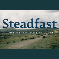Steadfast #6: Freedom from Earthly Labels