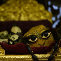 Kirtan Premi - Night Shift Vrindavan - 12.07.23
