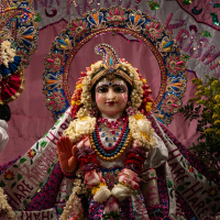 Akincana Krishna Prabhu - Kirtan 50 Day 3 - 12.31.23