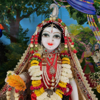 Rasa Kishor Das - 8.17.23