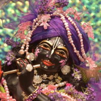 Gour Krsna - Meditation on Krsna’s Arrival - Janmastami 2023