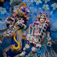 Kirtan Premi - Sri Krishna Caitanya Prabhu - 2.20.20