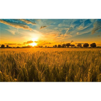 SPECIAL EDITION: The Hebraic Revelation of the Ninth Month of YAHUAHS Calendar
