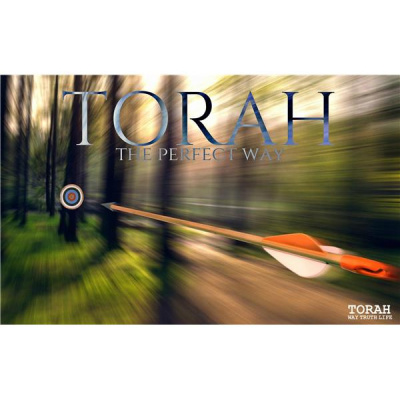Talk, Teach, And Testify Radio