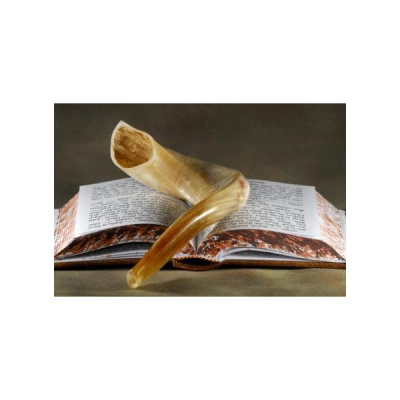 Talk, Teach, And Testify Radio