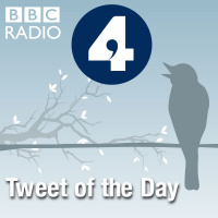 Matt Merritt on the Redstart