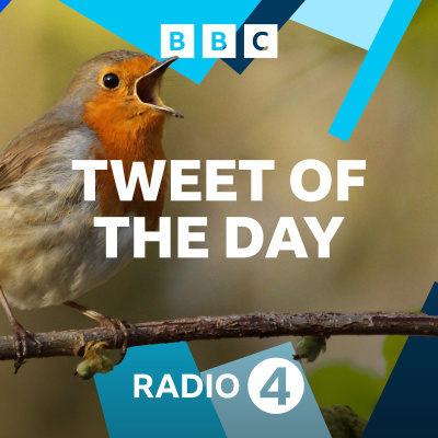 Tweet Of The Day