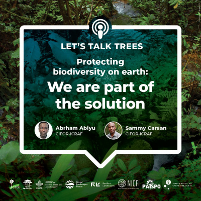 Center For International Forestry Research (cifor)