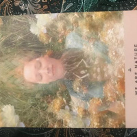 Angel Messages  Guidance for March 7th to 13th : The Rose Oracle