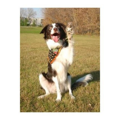 Help! Relationships 102