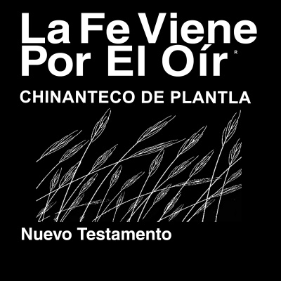 Chinanteco de Palantla Biblia (no dramatizada) - Chinanteco de Palantla Bible (Non-Dramatized)