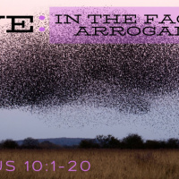 Exodus 10:1-20 AWE: in the face of arrogance