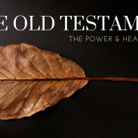 Episode 210: An Old Testament Survey - The Power And Heart Of God