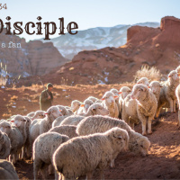 Episode 199: Matthew 8:18-34 Be a Disciple (a follower, not a fan)