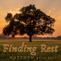 Episode 205: Matthew 12:1-21 Finding Rest