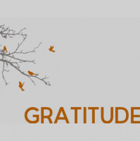 Gratitude Pt. 2 - Audio