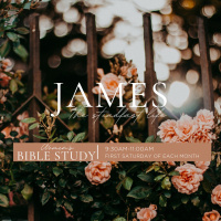Womens Bible Study: James WEEK 1