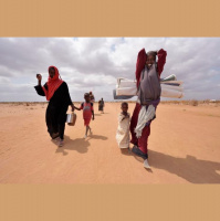 Responding to drought in East Africa