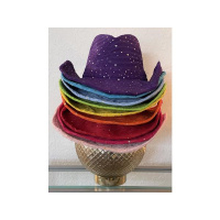 January Jones Sharing How To Rock Your Midlife with Ellen Albertsons Success St