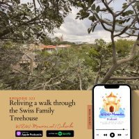 Reliving a walk through the Swiss Family Treehouse, in Walt Disney Worlds: Magic Kingdom