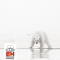 The Beauty  Impact of Polar Photography, with Acacia Johnson  Jonas Paurell