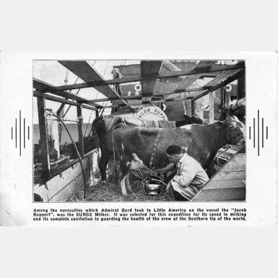 Ice Coffee: The History Of Human Activity In Antarctica