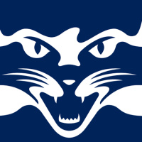 Geelong AFL Fantasy preview 2024