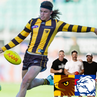 Hawks v Dogs - Q2 - AFL Fantasy LIVE