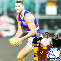 Hawks v Dogs - Q3 - AFL Fantasy LIVE