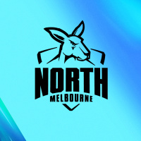 North Melbourne 2025 AFL Fantasy preview