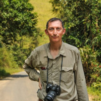 Around the World in 80 Trees - Jonathan Drori