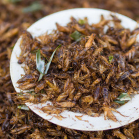 Ubers new fine appetising insects interview with Gravitys Panayiotis Philimis makers movement strikes back and much more