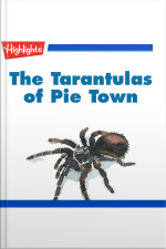 The Tarantulas of Pie Town