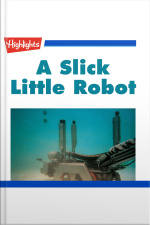 A Slick Little Robot