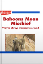 Baboons Mean Mischief
