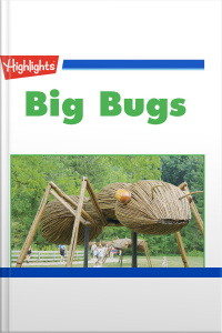 Big Bugs