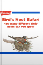 Birds Nest Safari