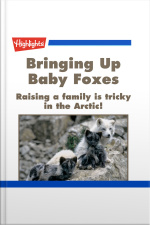 Bringing Up Baby Foxes