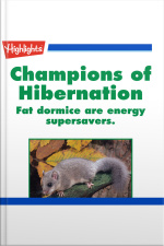 Champions of Hibernation