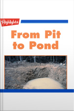 From Pit to Pond