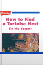How to Find a Tortoise Nest