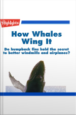 How Whales Wing It