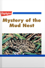 Mystery of the Mud Nest