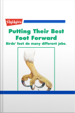 Putting Their Best Foot Forward